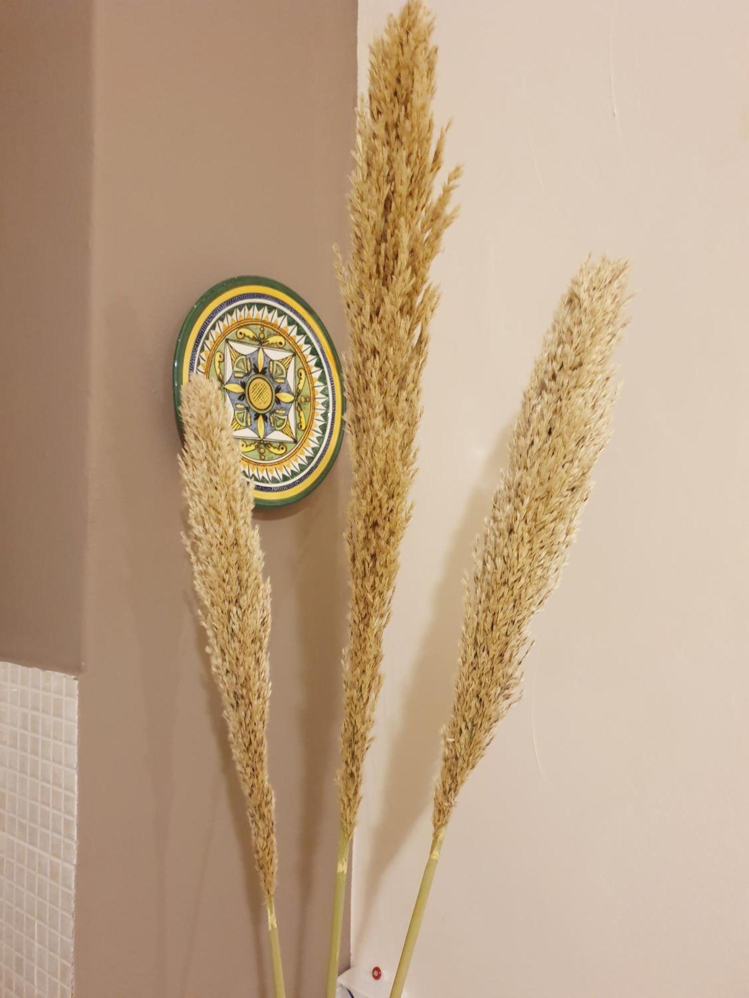 Dolce Casa Centro Storico Di Palermo New 2023 Appartement Kamer foto
