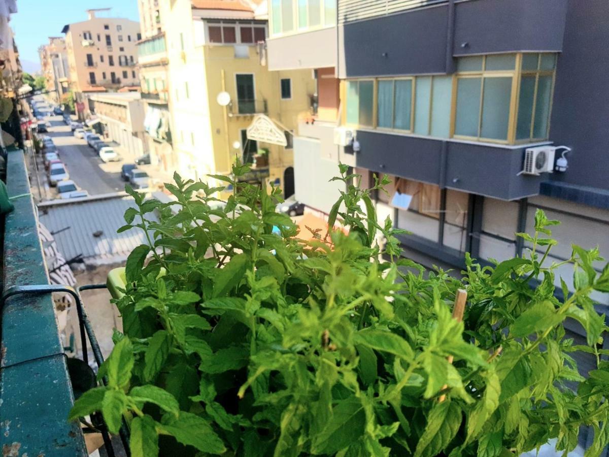 Dolce Casa Centro Storico Di Palermo New 2023 Appartement Buitenkant foto
